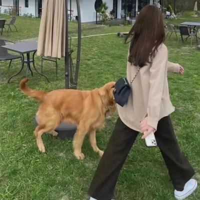 超级小郎中之鲛人泣珠